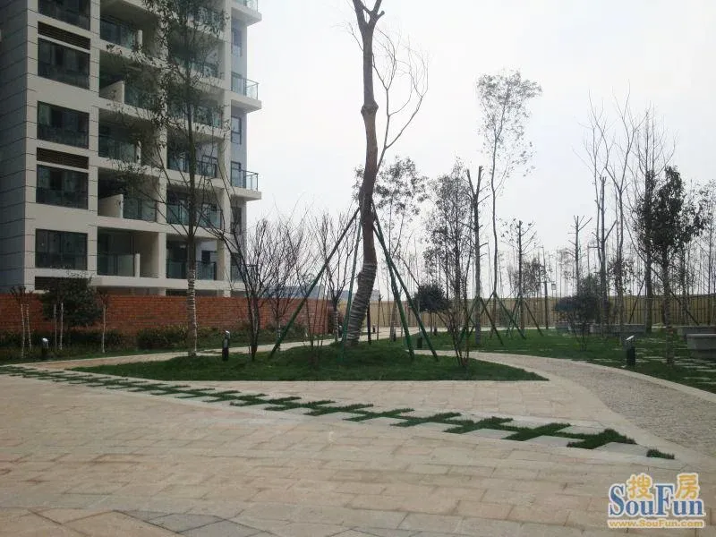 上行锦绣3室2厅1卫南朝向2500.00元/月出租