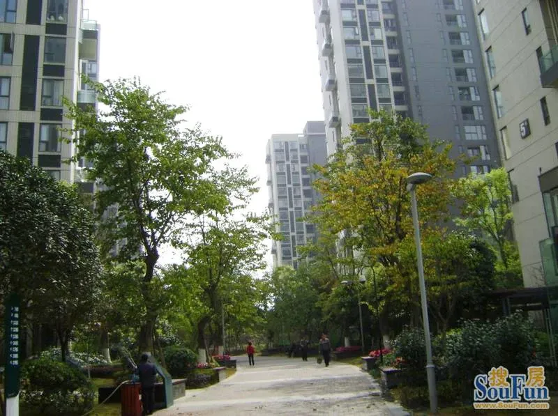 优品尚东3室2厅1卫东朝向2900.00元/月出租