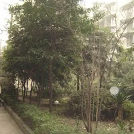 营康路77号院2室2厅1卫东南朝向1700.00元/月出租