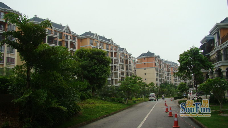 维也纳森林小区实景(2010-06-07 )