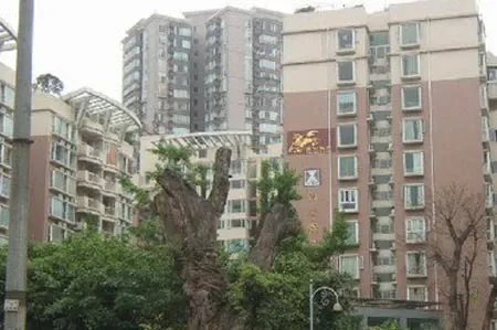 近水楼台1室1卫南朝向1400.00元/月出租