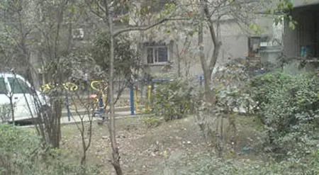 银沙北街91号院3室1厅1卫南北朝向2200.00元/月出租