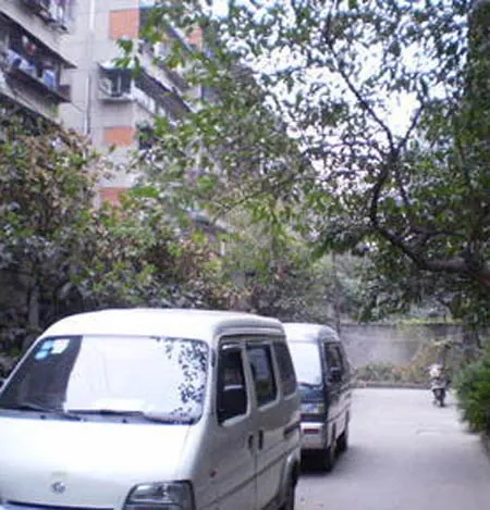 银沙北街91号院1室1厅1卫东南朝向1200.00元/月出租