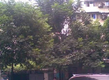 战旗东路7号院1室1厅1卫南朝向1450.00元/月出租