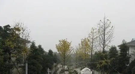 高山流水一期5室3厅南朝向9000.00元/月出租