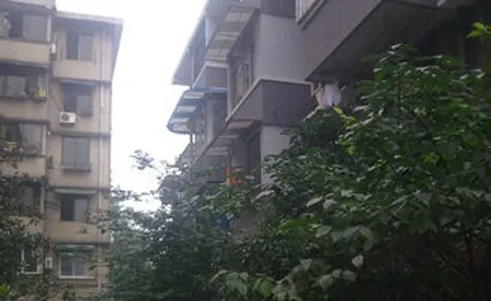 西屠场街小区3室1厅1卫东南朝向2050.00元/月出租