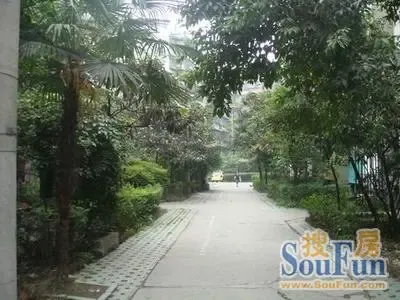 金沙路西巷29号院4室1厅2卫南朝向3600.00元/月出租