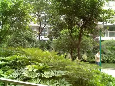 双楠风景一期3室1厅2卫西南朝向2700.00元/月出租