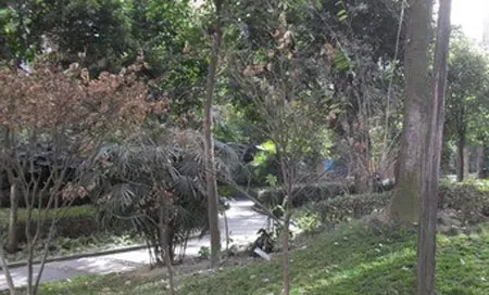 南港家园1室1厅1卫东南朝向1200.00元/月出租