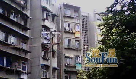 银沙路80号院2室2厅1卫东朝向1700.00元/月出租