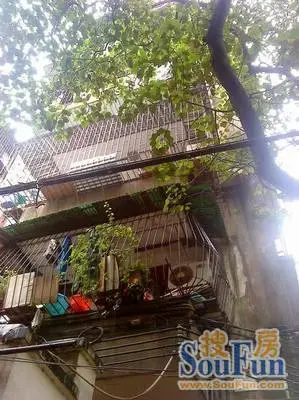 惠福西路仙邻巷小区外景图