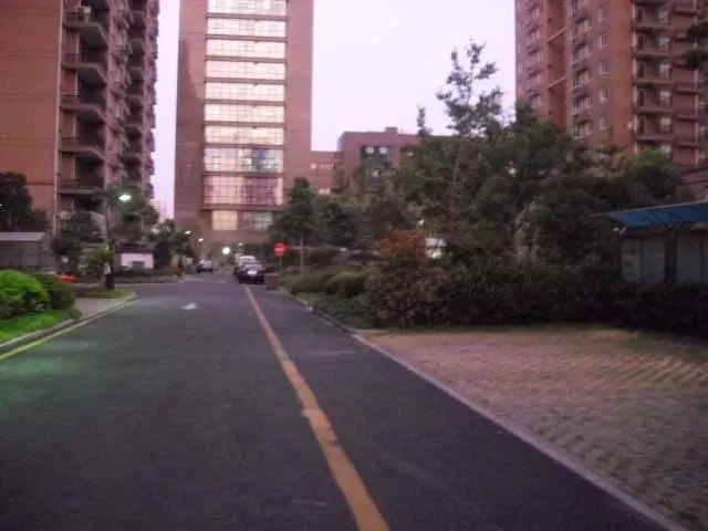 整租·嘉绿文苑 2室1厅 南