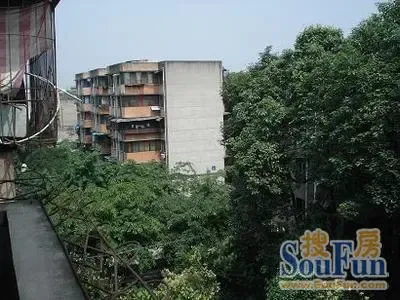 涤纶厂家属院3室1厅1卫西南朝向1100.00元/月出租