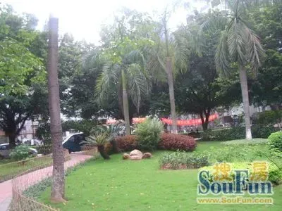 广信嘉乐花园2室1厅1卫南朝向2200.00元/月出租