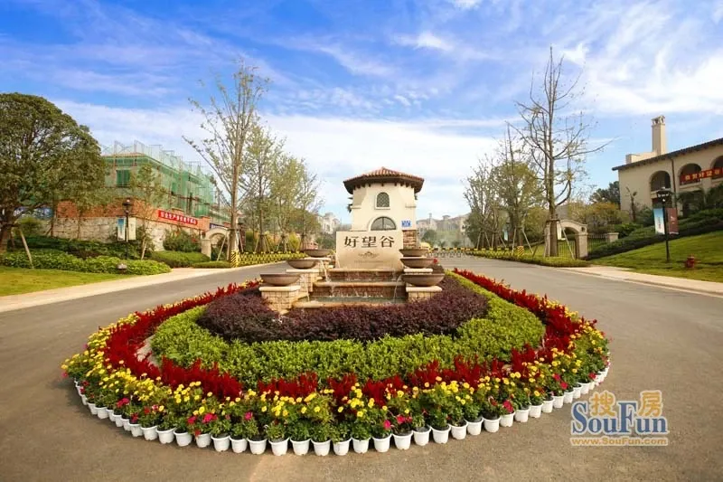 希望谷 全网资源