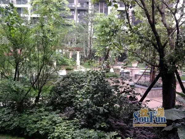 财富又一城2室1厅1卫西南朝向2800.00元/月出租