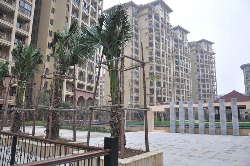 新都国际广场2室1厅1卫南朝向1500.00元/月出租