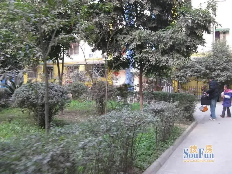 花样年华2室1厅1卫东朝向1900.00元/月出租