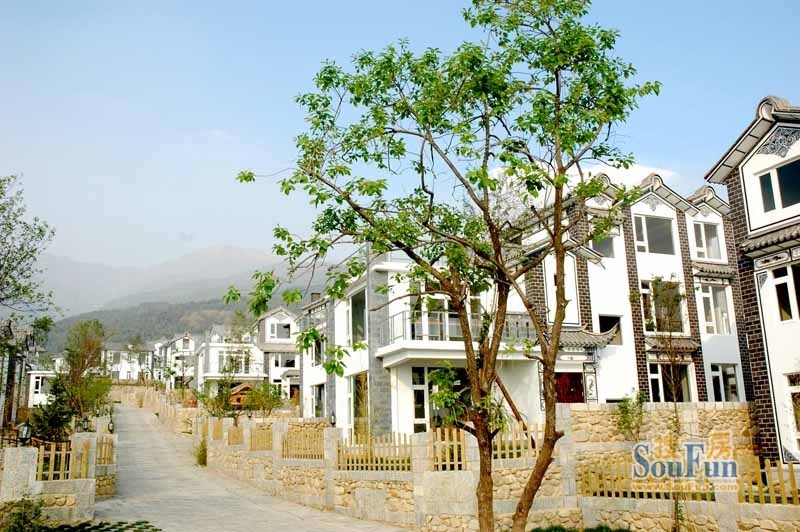 大理感通别墅2室1厅2卫南北朝向3600.00元/月出租