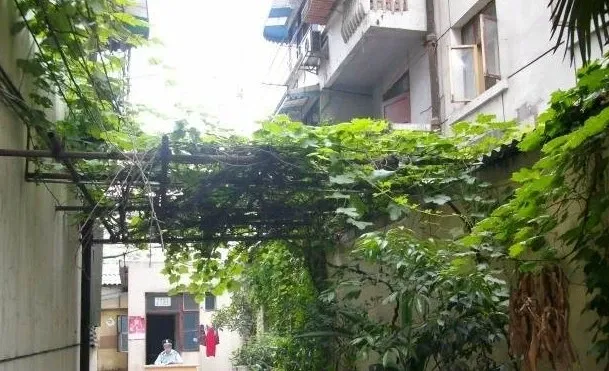 槐树街45号院外景图