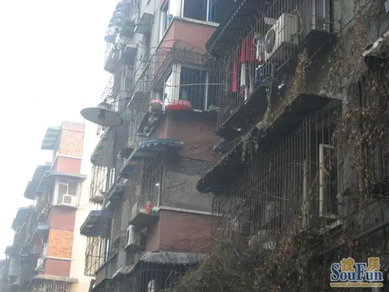 整租·营康西路184号 3室2厅 西南