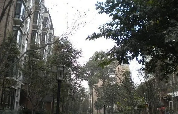 桃溪庭苑2室1厅1卫东朝向2000.00元/月出租