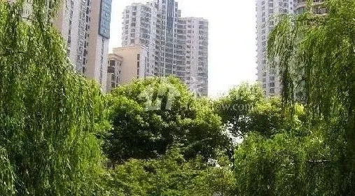 大学路10号院2室1厅1卫南朝向2700.00元/月出租