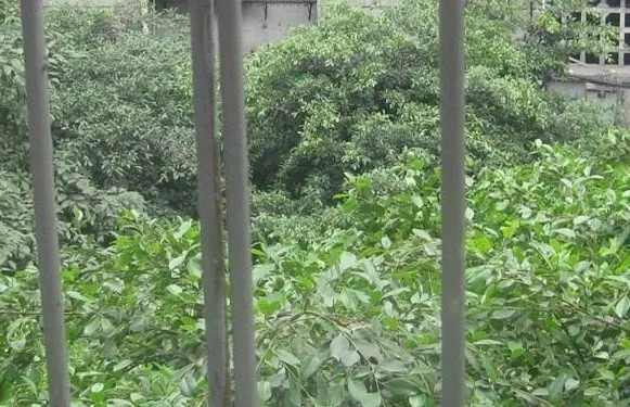 蜀明东路小区2室1厅1卫东南朝向2000.00元/月出租