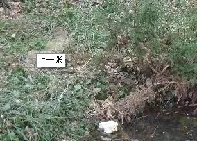 生物研究所宿舍2室1厅1卫东南朝向1700.00元/月出租