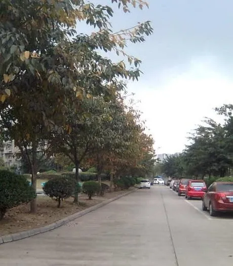 一品荷花2室1厅1卫南朝向2000.00元/月出租