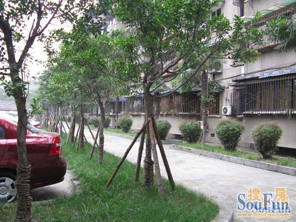 吉福新苑2室2厅1卫东朝向2500.00元/月出租