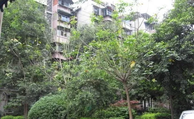 东糠市街3号院2室1厅1卫东朝向2400.00元/月出租