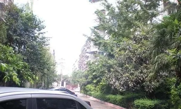 整租·玉通巷4号2室1厅