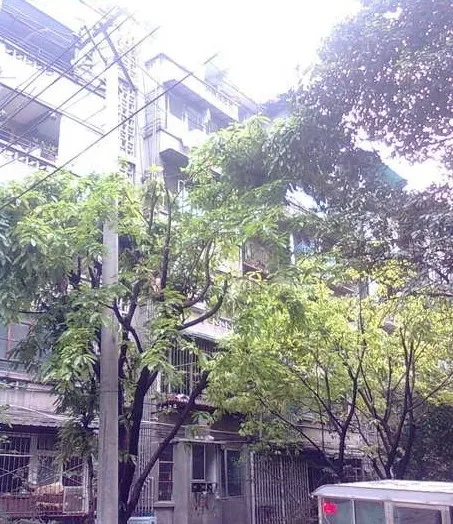 青华北二街6号院2室1厅1卫南朝向1800.00元/月出租