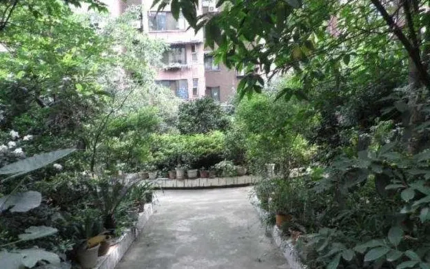 方池街36号院2室1厅1卫西南朝向2500.00元/月出租