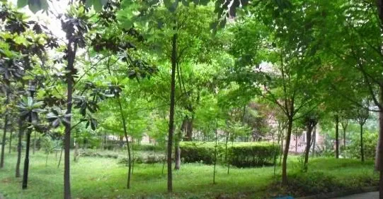 输气大院3室2厅1卫西南朝向2300.00元/月出租