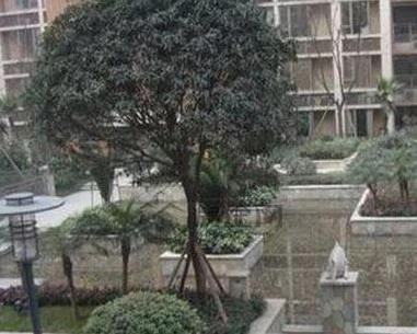 V派空间二手房实景图