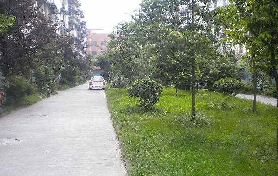 香江花园2室1厅1卫南北朝向2200.00元/月出租