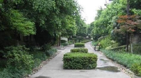 旭光小区外景图