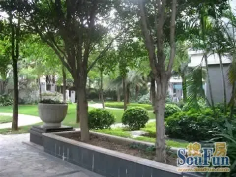 东侨楼3室2厅1卫东南朝向1300.00元/月出租