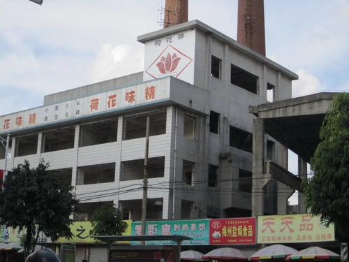 南宁荷花味精厂宿舍的相册-南宁荷花味精厂宿