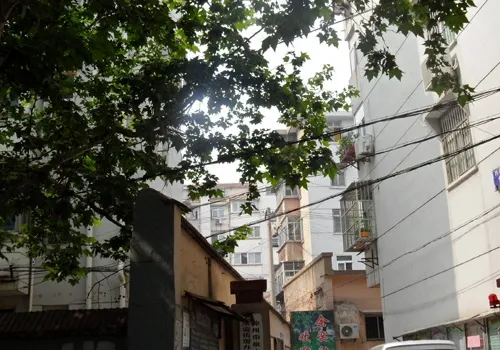 西余窑2室1厅1卫南朝向1000.00元/月出租