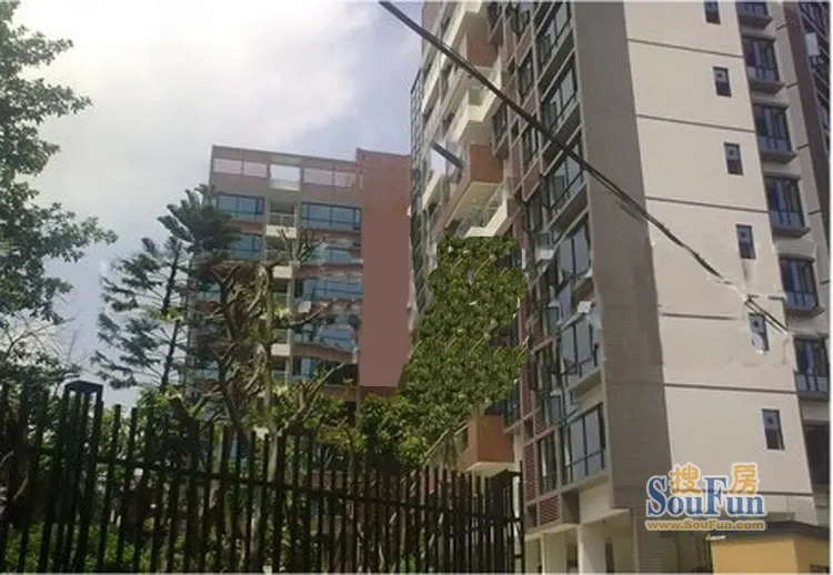 森林小筑2室1厅1卫南朝向3000.00元/月出租