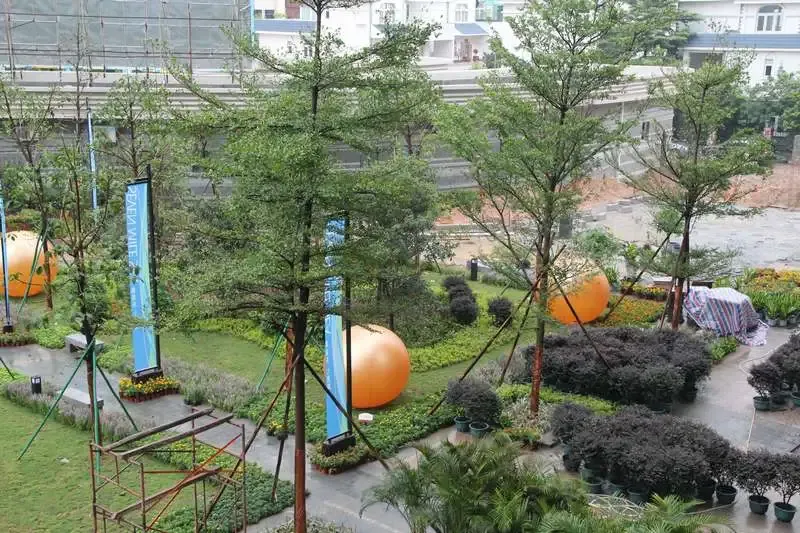 �ž������ﺣʵ��ͼ
