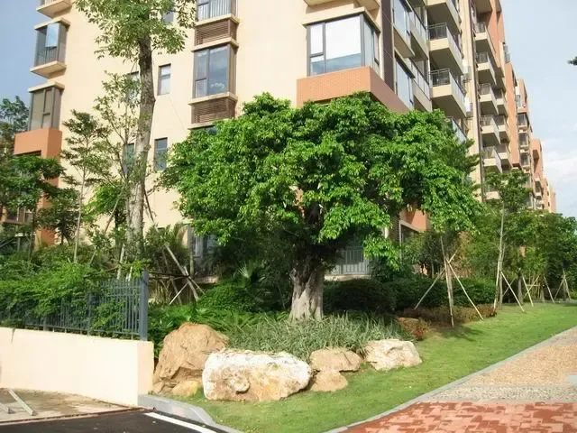 清华居4室2厅2卫东朝向4200.00元/月出租