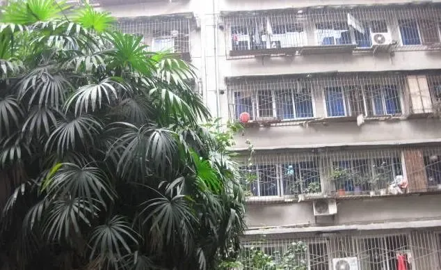 光明电器厂宿舍2室1厅1卫南朝向1600.00元/月出租