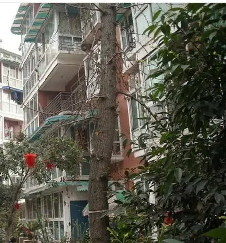 紫金花园2室1厅1卫东南朝向1700.00元/月出租