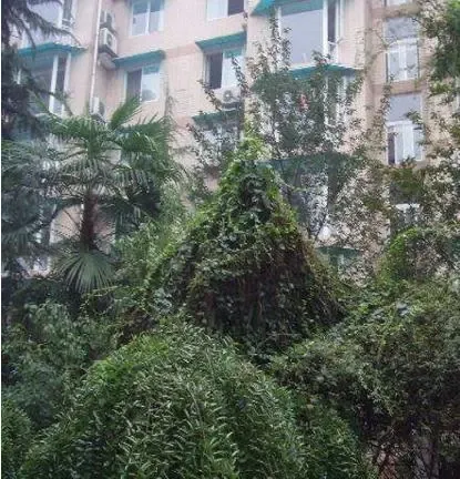 和朝新居3室1厅2卫北朝向3000.00元/月出租