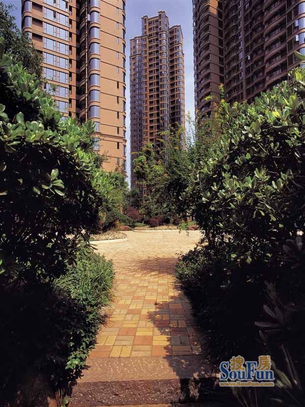 湘域熙岸3室2厅2卫南朝向3500.00元/月出租