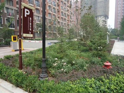 很关心西安东方罗马花园的物业管理 是哪家物